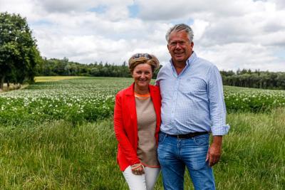 Contact opnemen met Dabentie Rijopleidingen